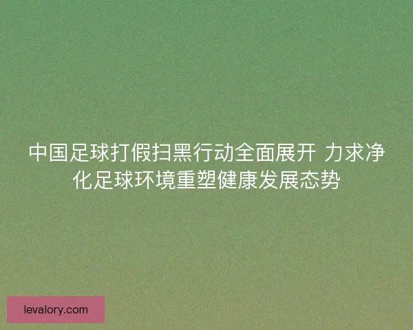中国足球打假扫黑行动全面展开 力求净化足球环境重塑健康发展态势 中国足球打假扫黑行动全面展开 力求净化足球环境重塑健康发展态势