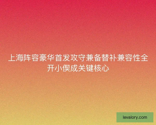 上海阵容豪华首发攻守兼备替补兼容性全开小偰成关键核心 上海阵容豪华首发攻守兼备替补兼容性全开小偰成关键核心